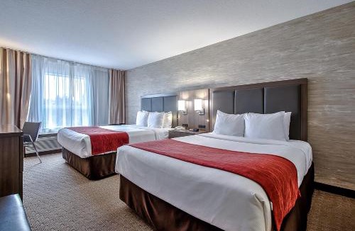 Southwest Calgary Hotel | Comfort Inn & Suites South