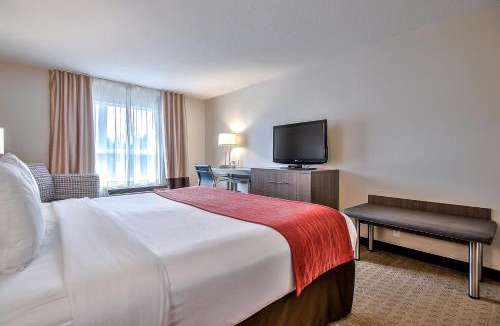 Southwest Calgary Hotel | Comfort Inn & Suites South