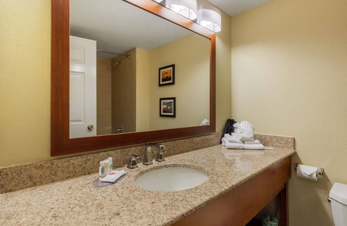 Greater Fondren Southwest Hotel | Comfort Inn & Suites SW Houston Sugarland