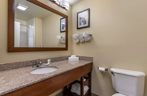 Boerne Hotel | Comfort Inn & Suites Texas Hill Country