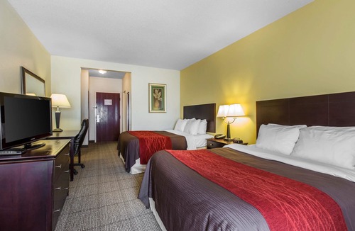 Thomson Hotel | Comfort Inn & Suites Thomson