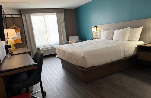 Gainesville Hotel | Comfort Inn & Suites