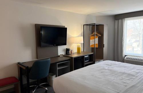 Gainesville Hotel | Comfort Inn & Suites