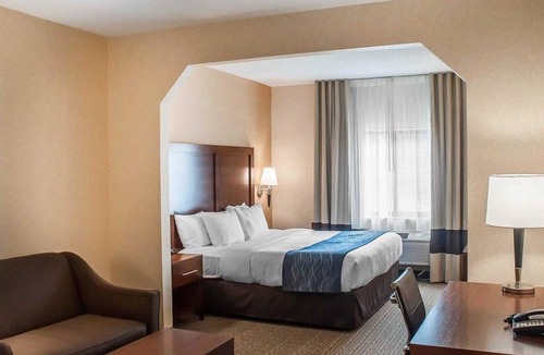 Hamburg Hotel | Comfort Inn & Suites Hamburg