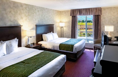 Walla Walla Hotel | Comfort Inn & Suites Walla Walla