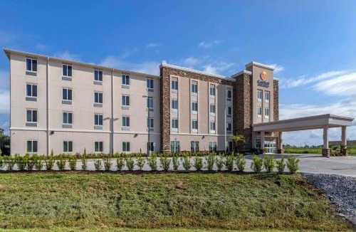 Waller Hotel | Comfort Inn & Suites Waller