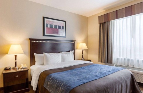 Winnie Hotel | Comfort Inn & Suites Winnie