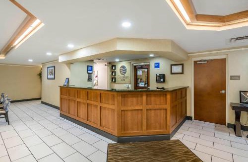 Gainesville Hotel | Comfort Inn University