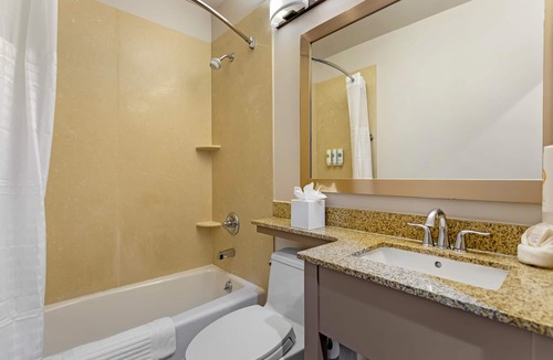 Travis - Chelsea Hotel | Comfort Inn