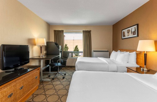 Val-d'Or Hotel | Comfort Inn Val-d Or