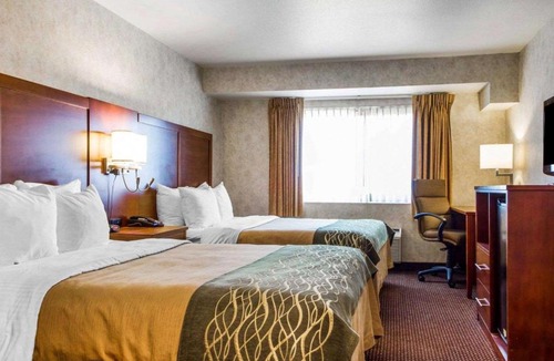 Las Lomas Hotel | Comfort Inn Watsonville