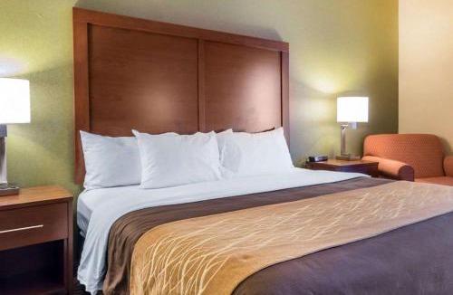 Winchester Hotel | Comfort Inn Winchester