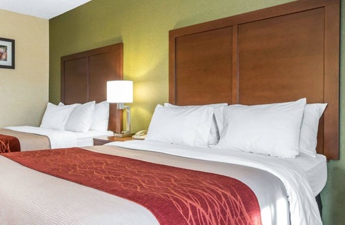 Winchester Hotel | Comfort Inn Winchester