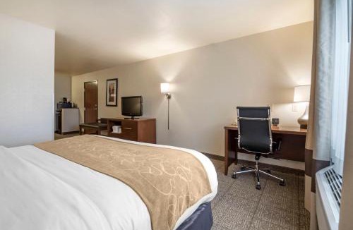 King Hotel | Comfort Suites at Par 4 Resort