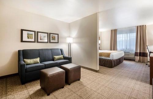 King Hotel | Comfort Suites at Par 4 Resort