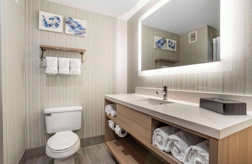 Arcadia Hotel | Comfort Suites At WestGate Mall