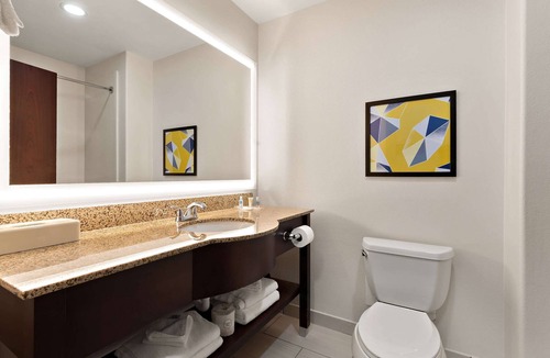 Bastrop Hotel | Comfort Suites Bastrop