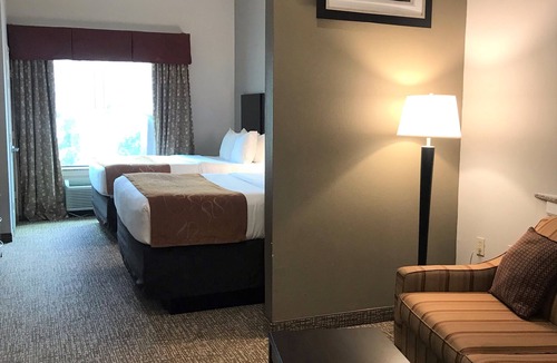 Bay City Hotel | Comfort Suites Bay City East
