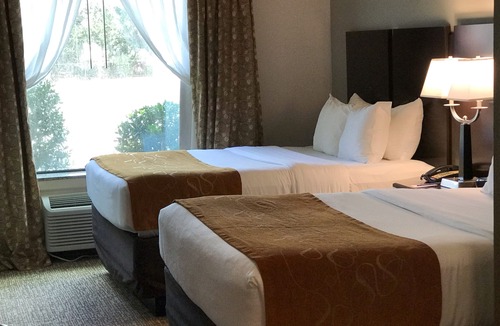 Bay City Hotel | Comfort Suites Bay City East