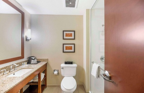 Carlsbad Hotel | Comfort Suites Carlsbad