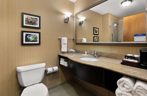 Commerce Hotel | Comfort Suites Commerce