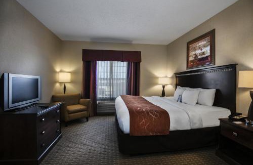 Conway Hotel | Comfort Suites Conway