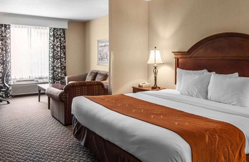 Corvallis Hotel | Comfort Suites Corvallis