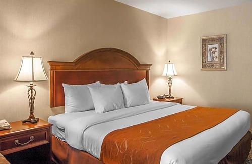 Corvallis Hotel | Comfort Suites Corvallis