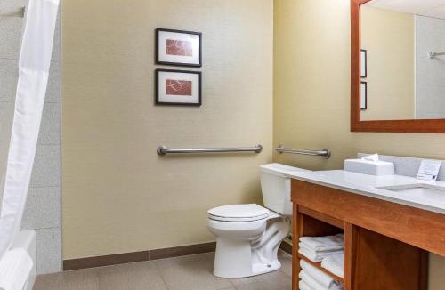 Dover Hotel | Comfort Suites Dover University Area