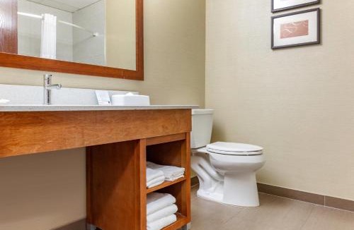 Dover Hotel | Comfort Suites Dover University Area