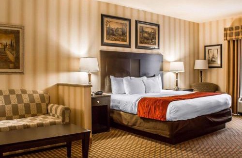 Edinboro Hotel | Comfort Suites Edinboro