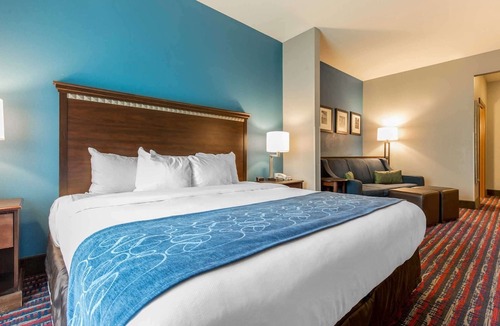 Fairview Heights Hotel | Comfort Suites Fairview Heights