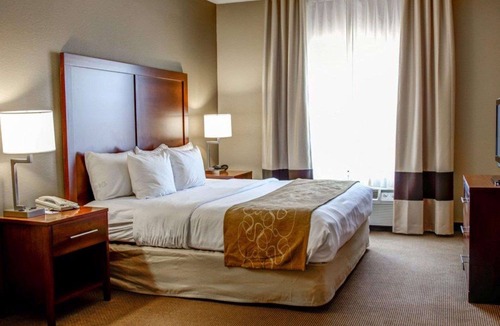 Gadsden Hotel | Comfort Suites Gadsden Attalla