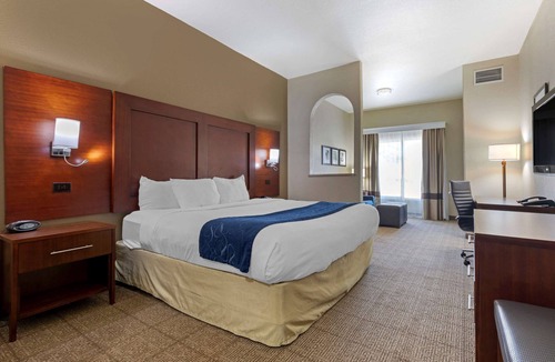 Gainesville Hotel | Comfort Suites Gainesville