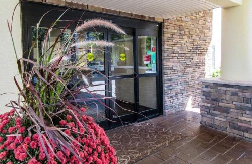 Georgetown Hotel | Comfort Suites Georgetown