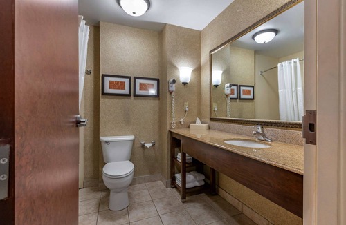 Grand Rapids Hotel | Comfort Suites Grand Rapids South