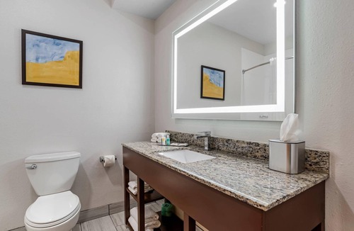 Hattiesburg Hotel | Comfort Suites Hattiesburg near University