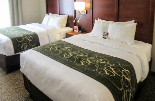 Kyle Hotel | Comfort Suites Kyle
