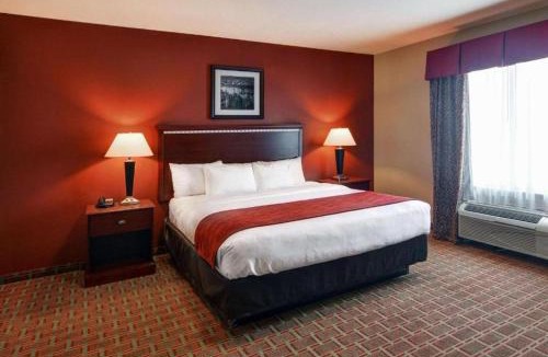 Fort Worth Hotel | Comfort Suites Lake Worth