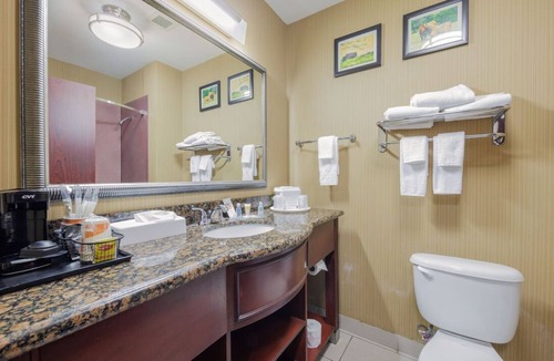 Lawton Hotel | Comfort Suites Lawton Near Fort Sill