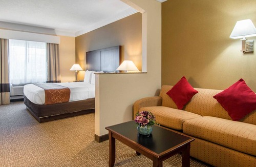 Albany Hotel | Comfort Suites Linn County