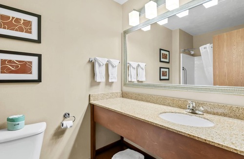 Albany Hotel | Comfort Suites Linn County