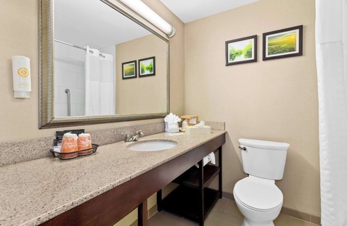 Lumberton Hotel | Comfort Suites Lumberton North