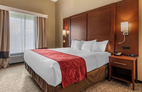 Salunga Hotel | Comfort Suites Manheim - Lancaster