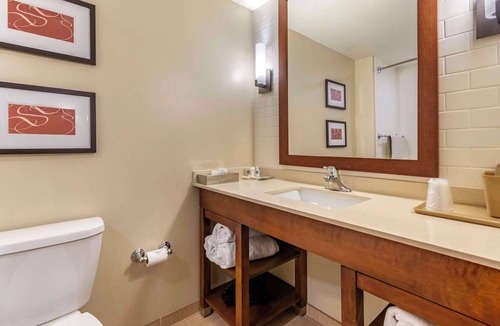 Salunga Hotel | Comfort Suites Manheim - Lancaster