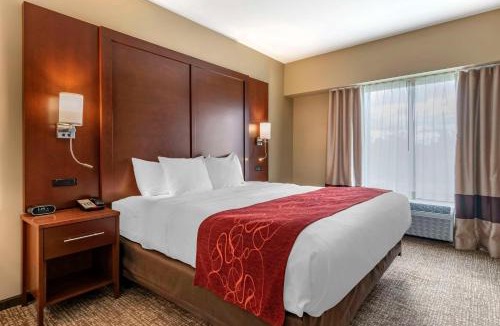 Salunga Hotel | Comfort Suites Manheim - Lancaster