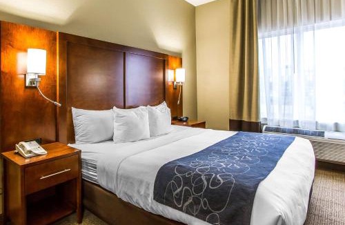 Mattoon Hotel | Comfort Suites Mattoon East