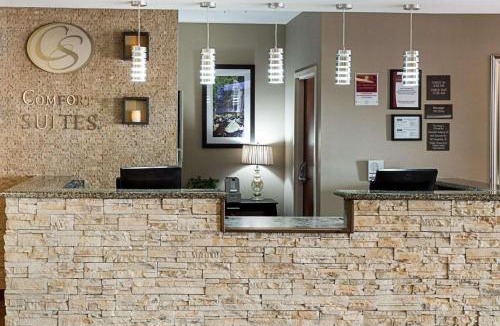 Gonzales Hotel | Comfort Suites near Tanger Outlet Mall