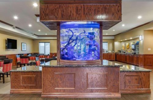 Bay Area Hotel | Comfort Suites Near Texas A&M - Corpus Christi