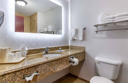 Bay Area Hotel | Comfort Suites Near Texas A&M University - Corpus Christi
